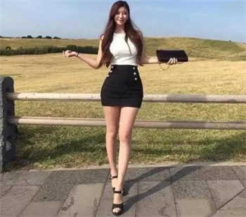 女巫的猫为什么不写了