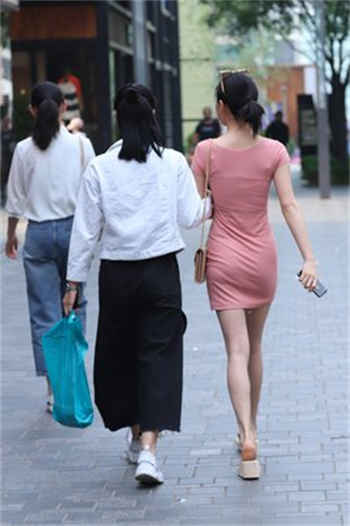 仓鼠网站为什么打不开