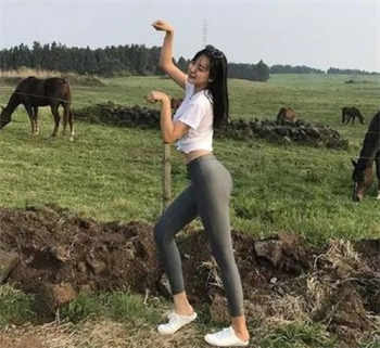 无弹窗小说网